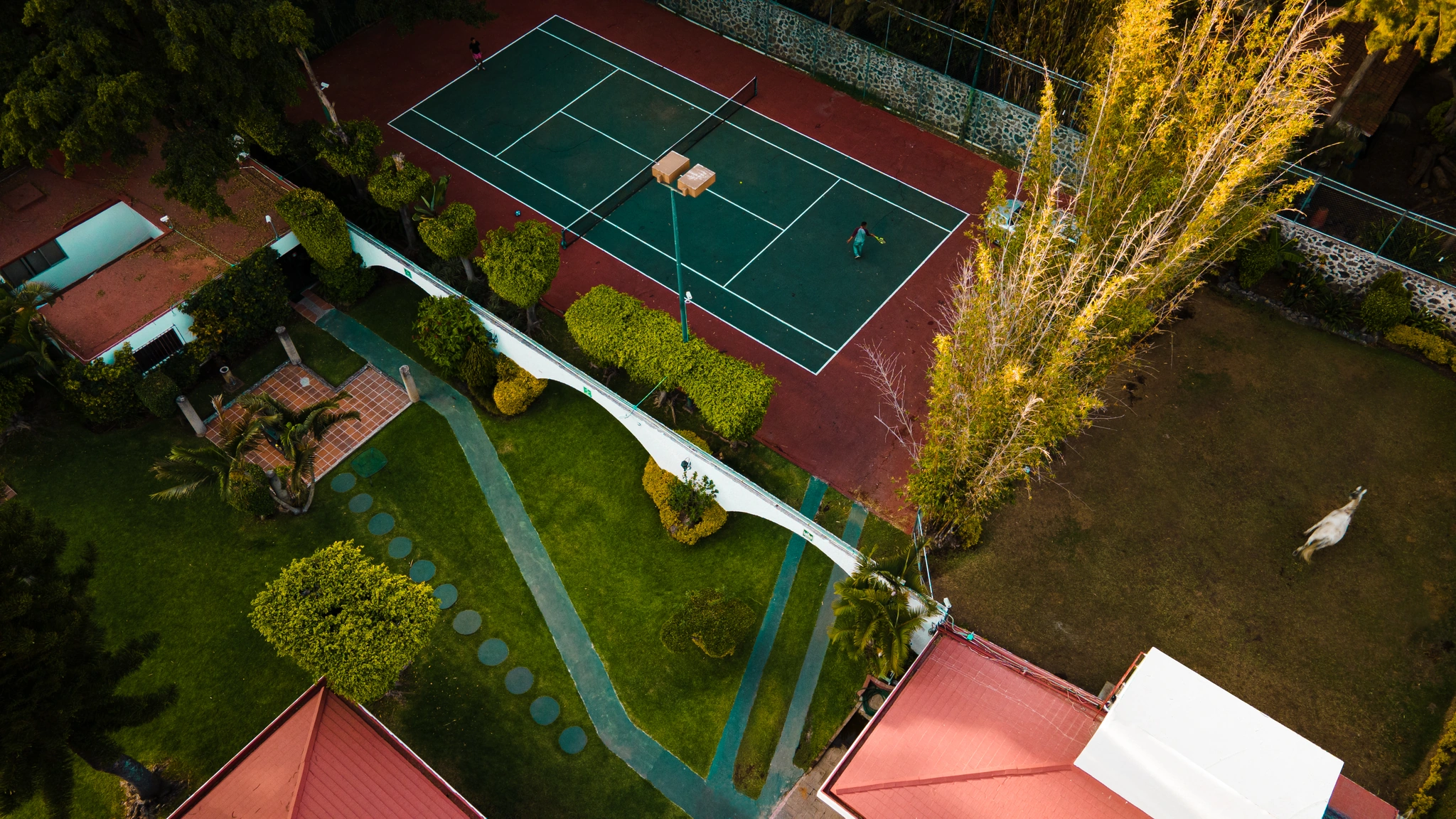 Galeria Clinica Life 8