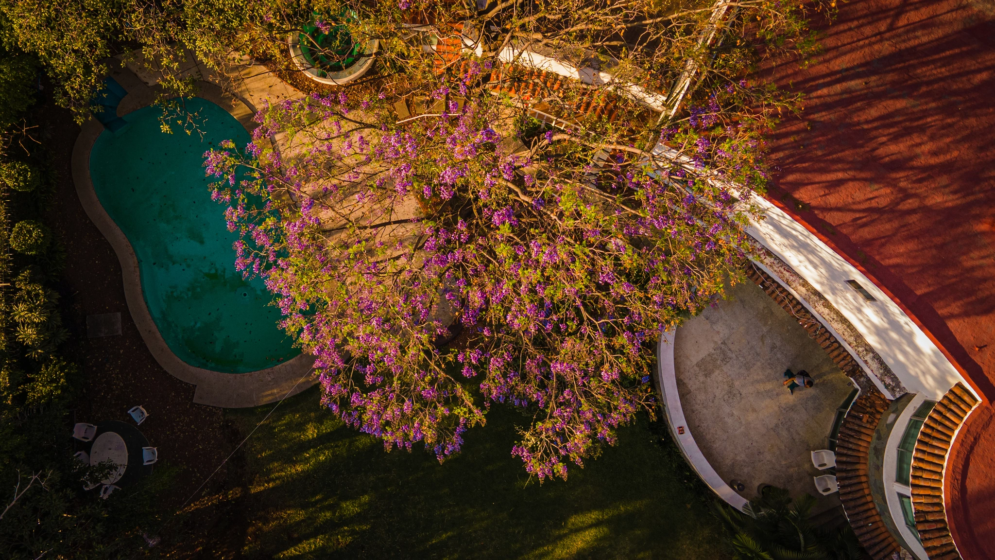 Galeria Villa Solarium 9