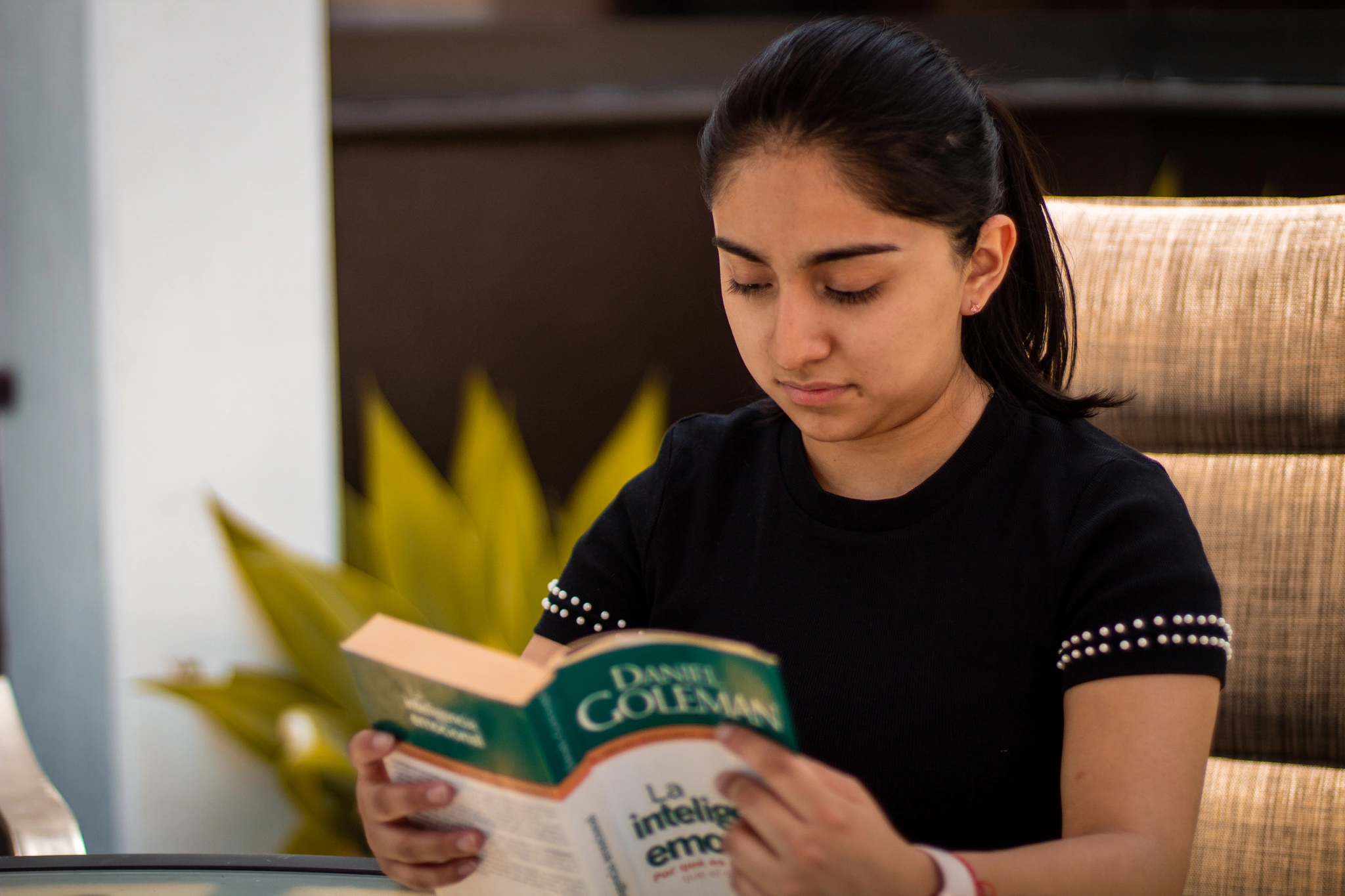 Galeria Hacienda Solarium 1