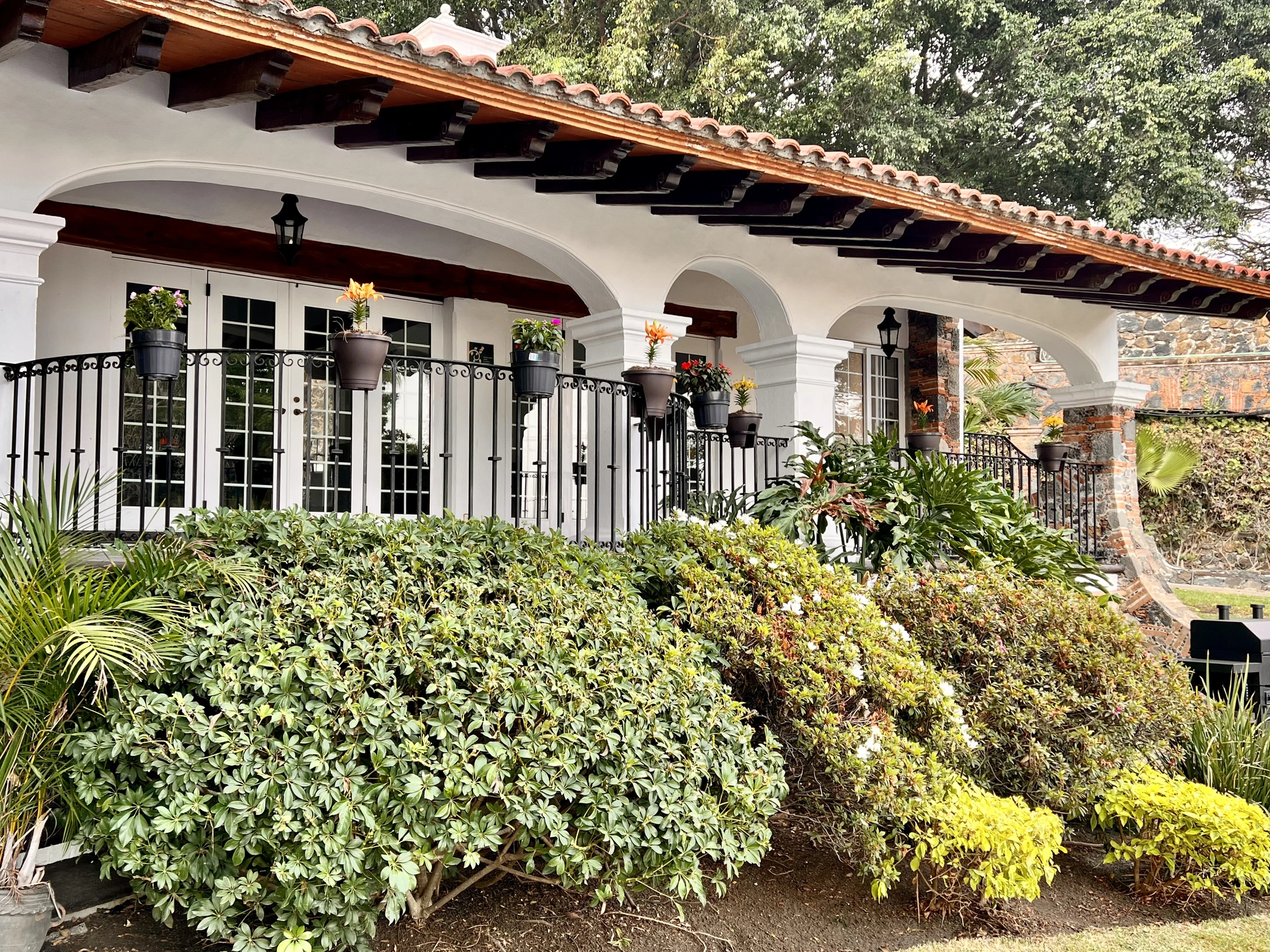 Galeria Clinica Concordia 1