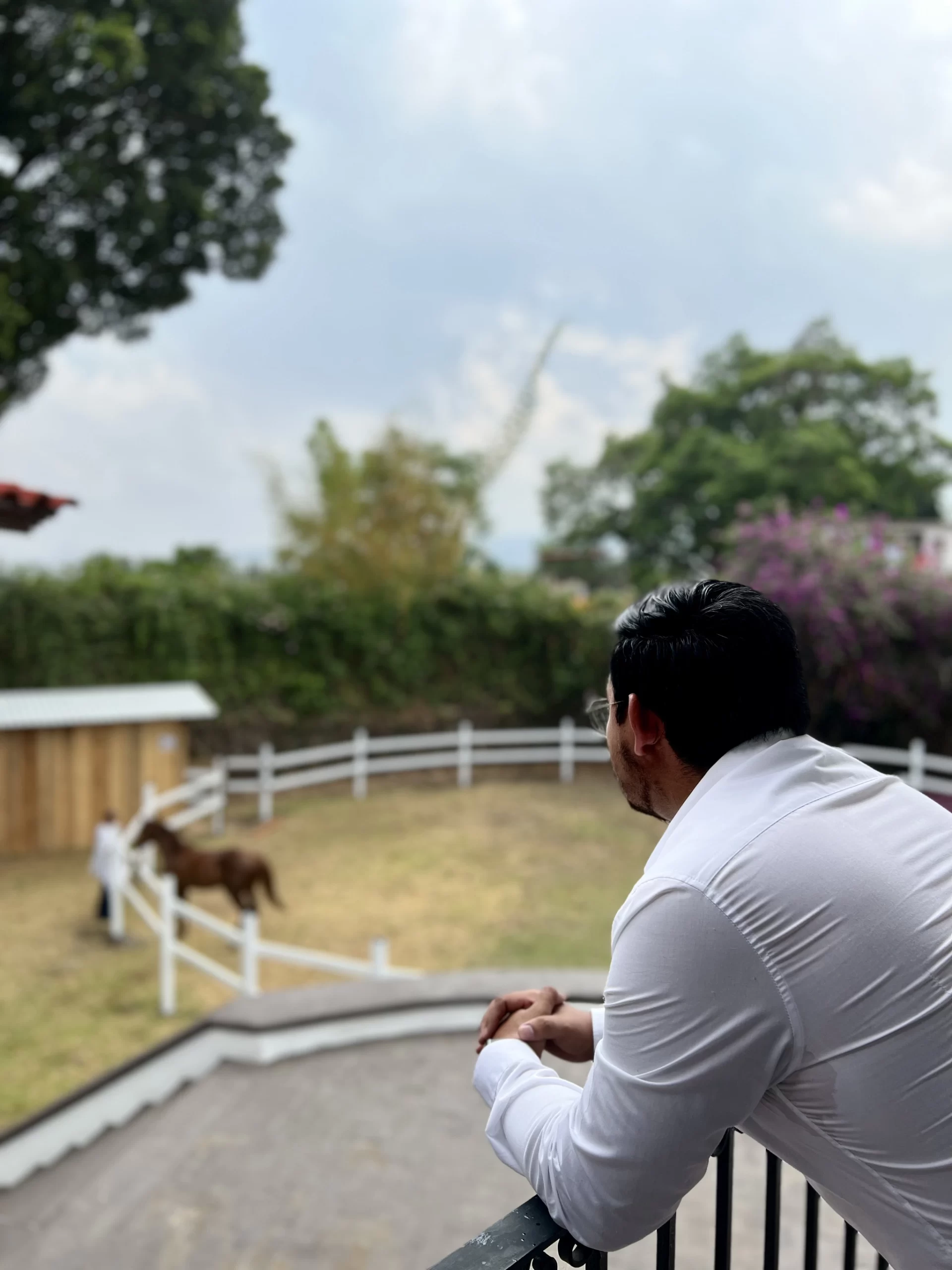 Galeria Clinica Concordia 2